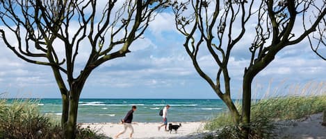 Vlak bij het strand