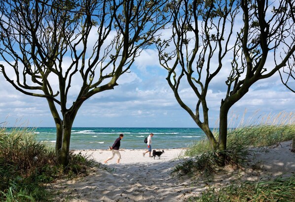 Playa en los alrededores 