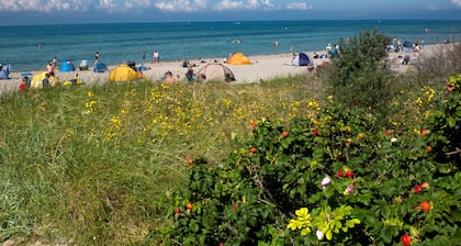 House NEPTUN - Just a few steps from the sea and beach