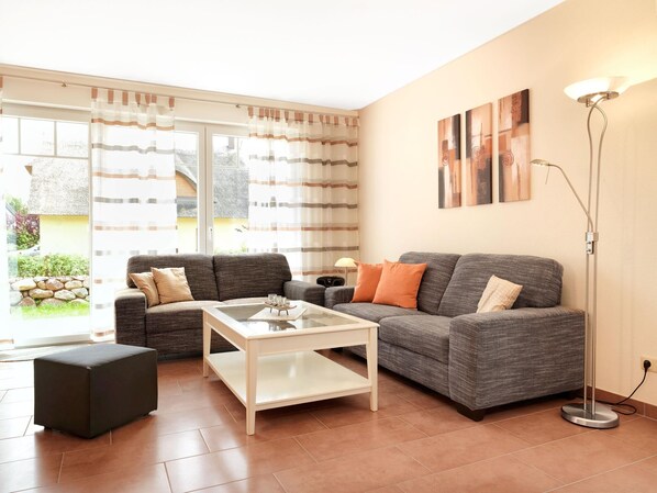 TV, fireplace, DVD player, books