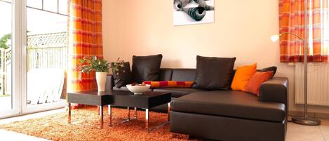 Televisor, llar de foc, reproductor de DVD i llibres