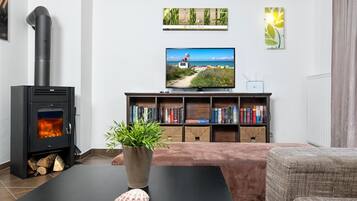 TV, lareira, DVD player, aparelho de som