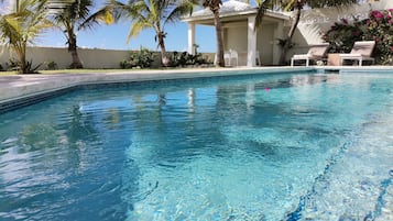 En krystalklar swimmingpool med liggestole og palmer.