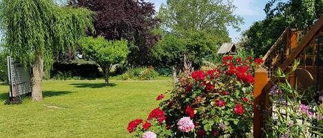 A well-maintained garden with a variety of trees, a wooden structure, and a grassy lawn.