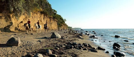Ubicación cercana a la playa