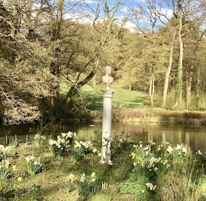 Stroll through a serene garden setting surrounded by lush greenery and a tranquil body of water.