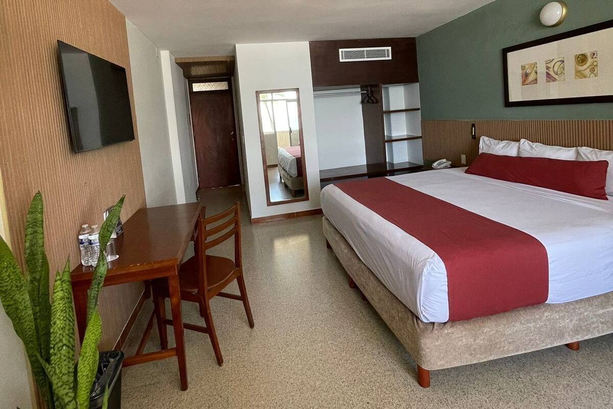 Une chambre d’hôtel avec un lit, un bureau, une chaise, une télévision et une plante en pot.