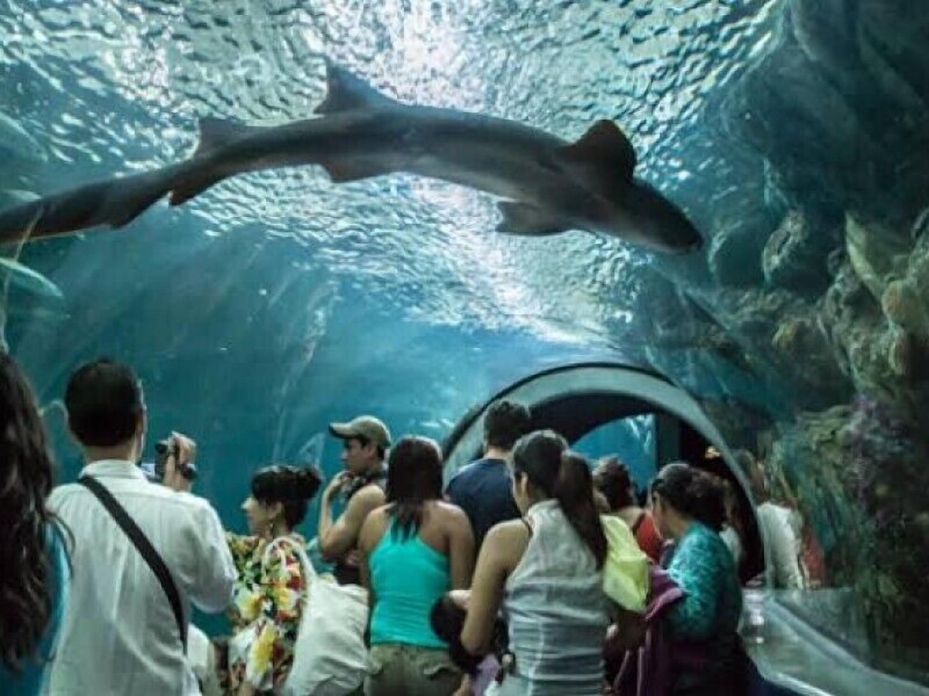 Foto - Hotel Royalty