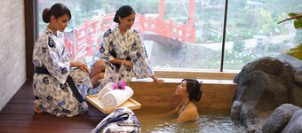 The Onsen Hot Spring Resort
