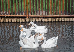 Children’s activities