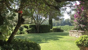 Ein gepflegter Garten mit Rasen, Hecken und blühenden Pflanzen.