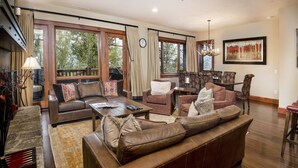 House | Living room | TV, fireplace - Hummingbird A-102 (Avon)