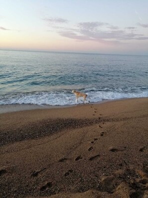 Chaises longues, serviettes de plage