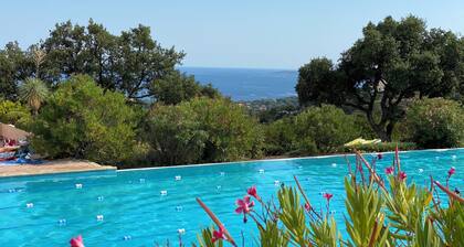 LOVELY AIR-CONDITIONED MAZET WITH SEA-VIEW TERRACE