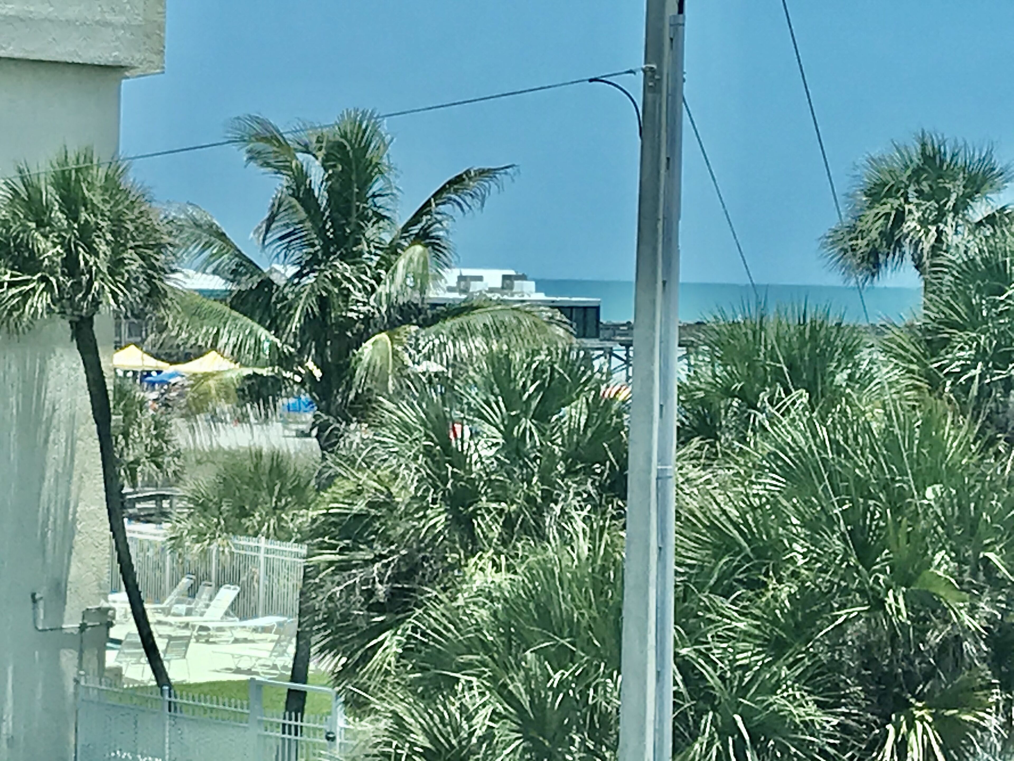 A view of a coastal area with palm trees, a beach, and a building with a balcony.