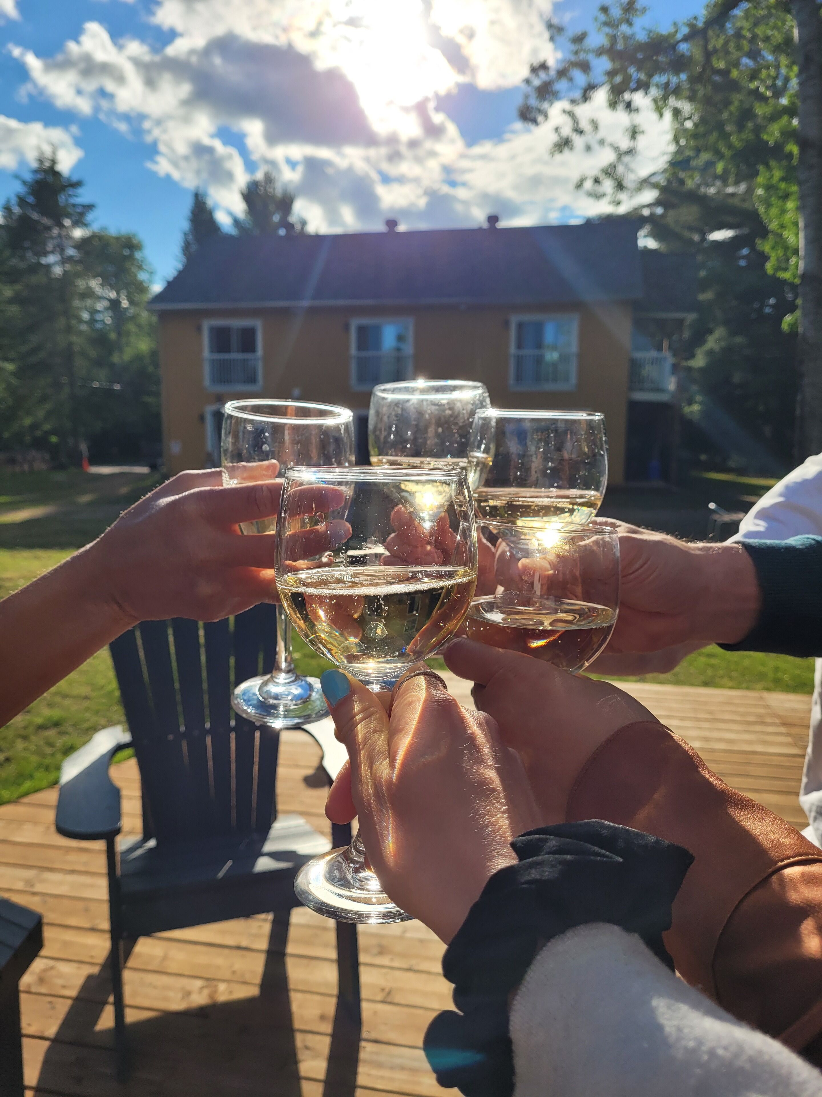 Um grupo de pessoas brindando com taças de vinho em um deck de madeira.