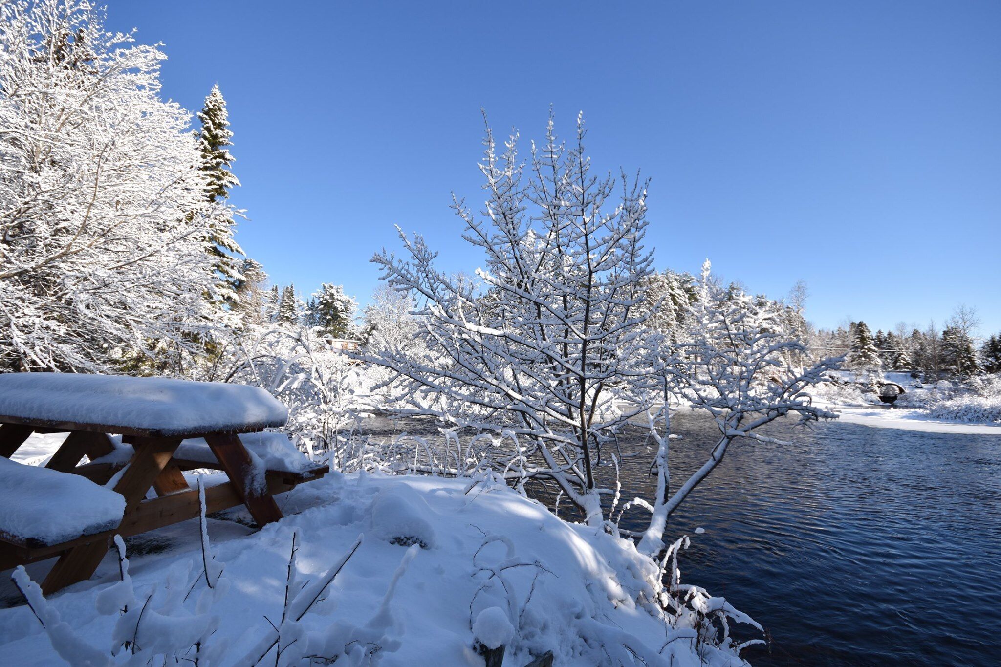 A snow-covered picnic table by a river with bare trees and a clear blue sky.