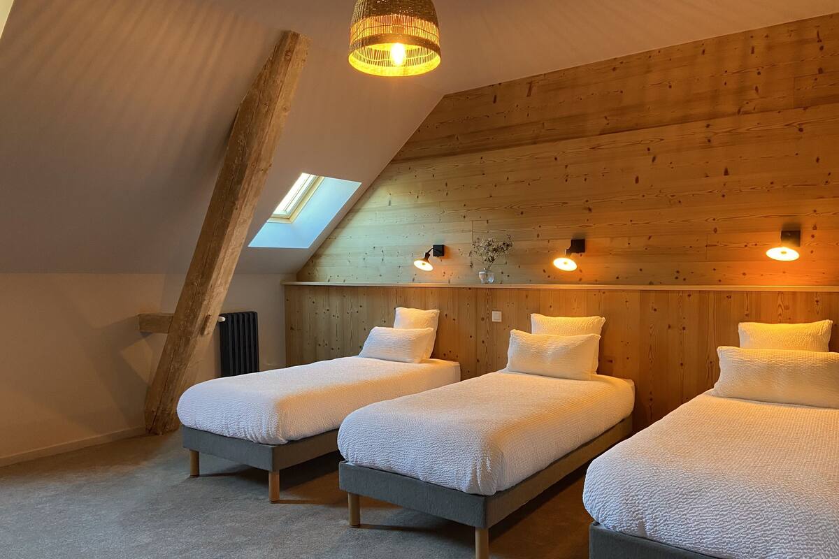 A cozy attic bedroom with two beds, wooden walls, a skylight, and a radiator.