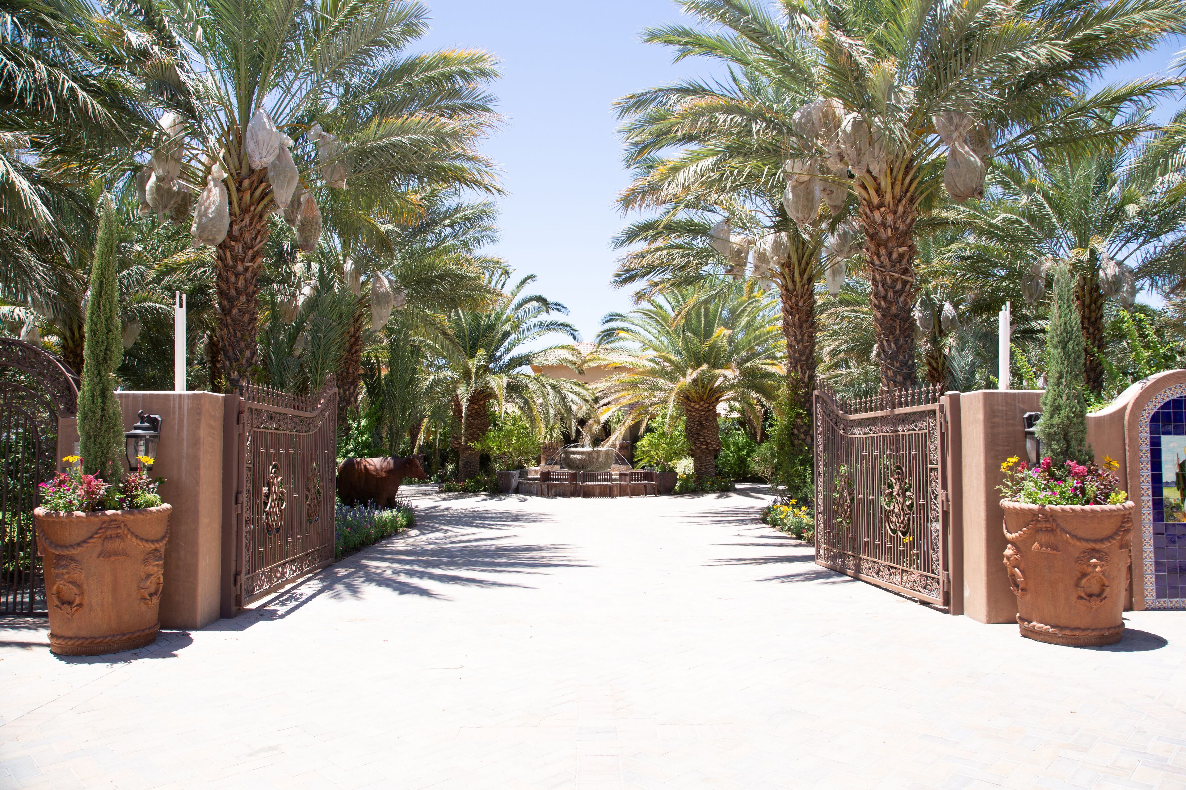 Hacienda Nestled in Private Date Grove close to Palm Springs