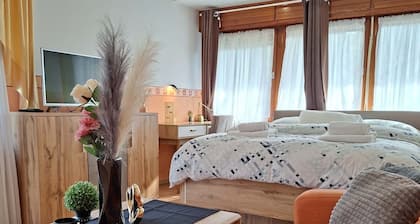 Sunny Park Apartment*TOP location*FREE WiFi & Bikes Private Patio *Nature Oasis