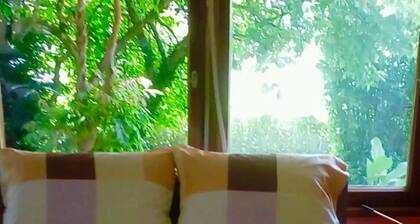 Sunny Park Apartment*TOP location*FREE WiFi & Bikes Private Patio *Nature Oasis