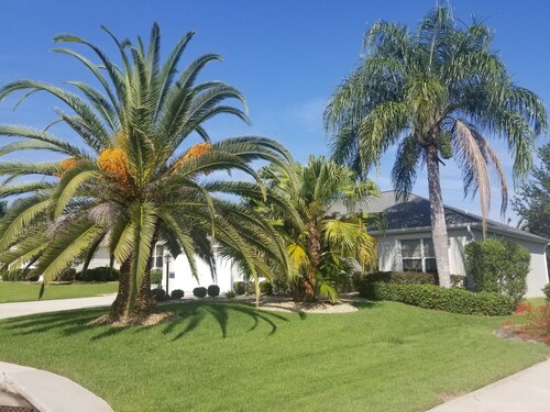 Palm Paradise  - Great Location with a Courtesy Golf Cart
