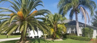 Palm Paradise  - Great Location with a Courtesy Golf Cart
