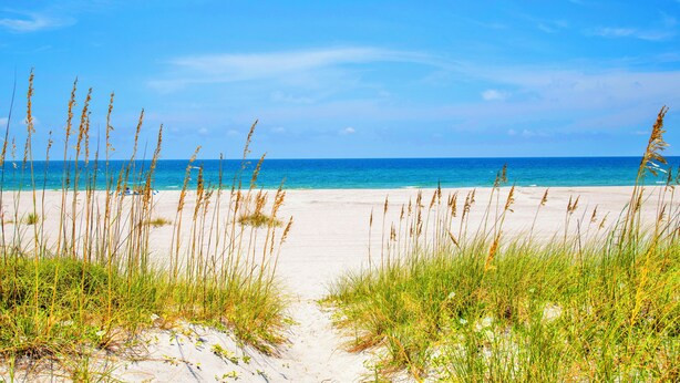 A beach with sand and tall grass in the foreground and a clear blue sky.