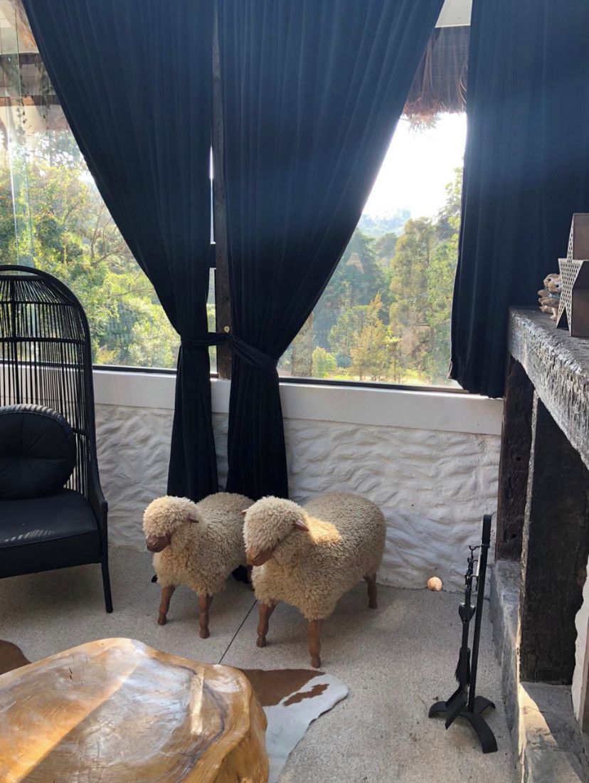Een kamer met uitzicht op bomen, een zwarte stoel, twee schapen en een rustieke open haard.