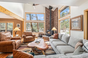 Smart TV, fireplace, table football, books