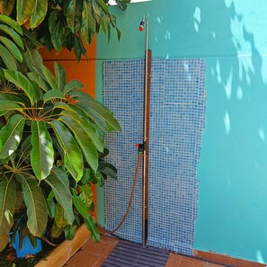 A blue tiled door with a metal handle, a metal pipe, and a potted plant with large leaves.