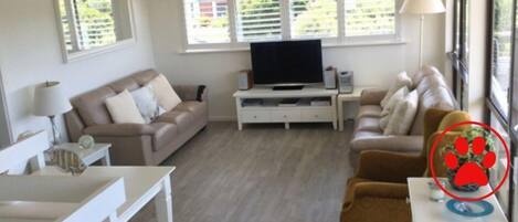 Fernseher, DVD-Player, Stereoanlage