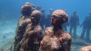 Unclassified image, 2 of 23, button