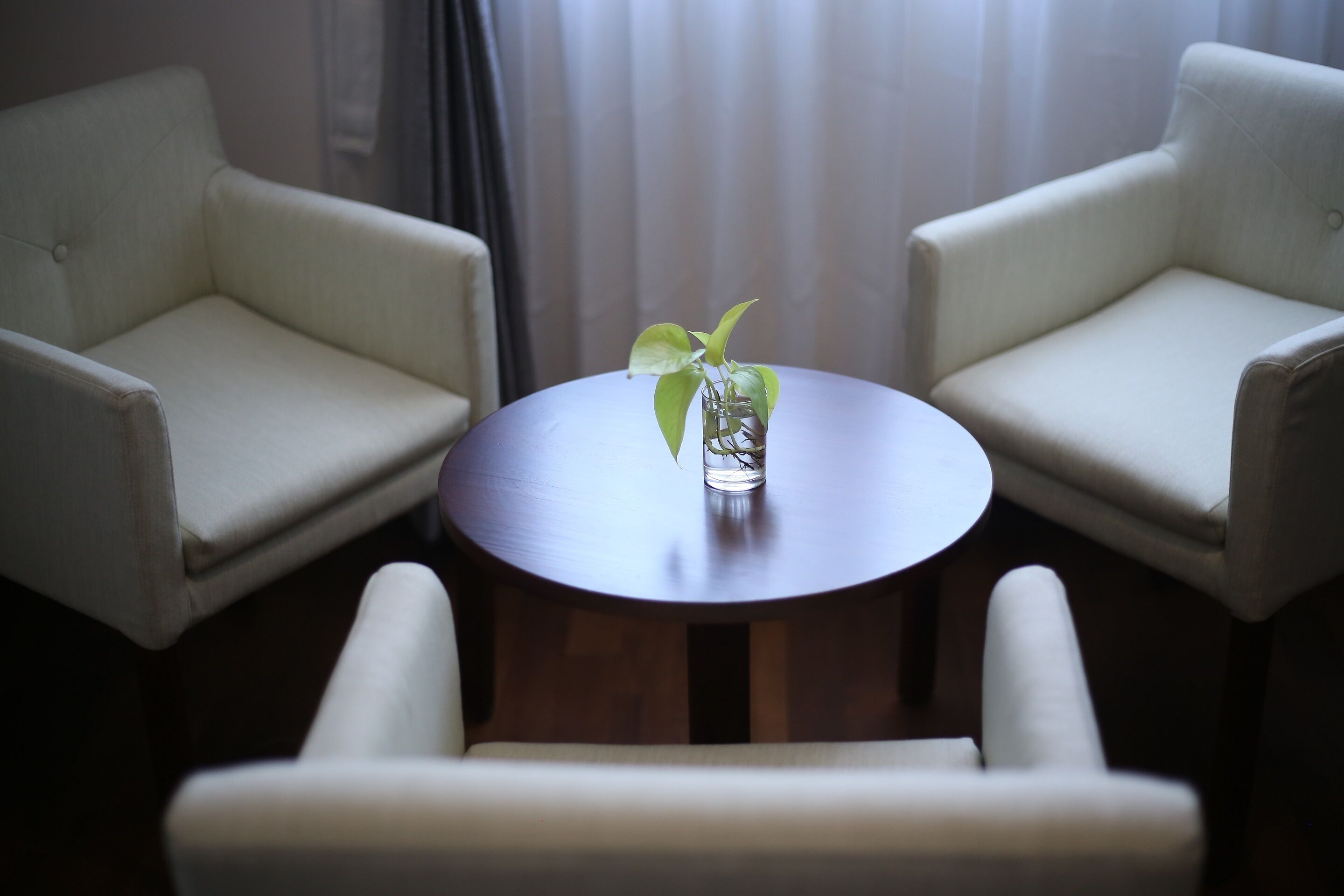 A room with two white armchairs and a round wooden table with a small plant.