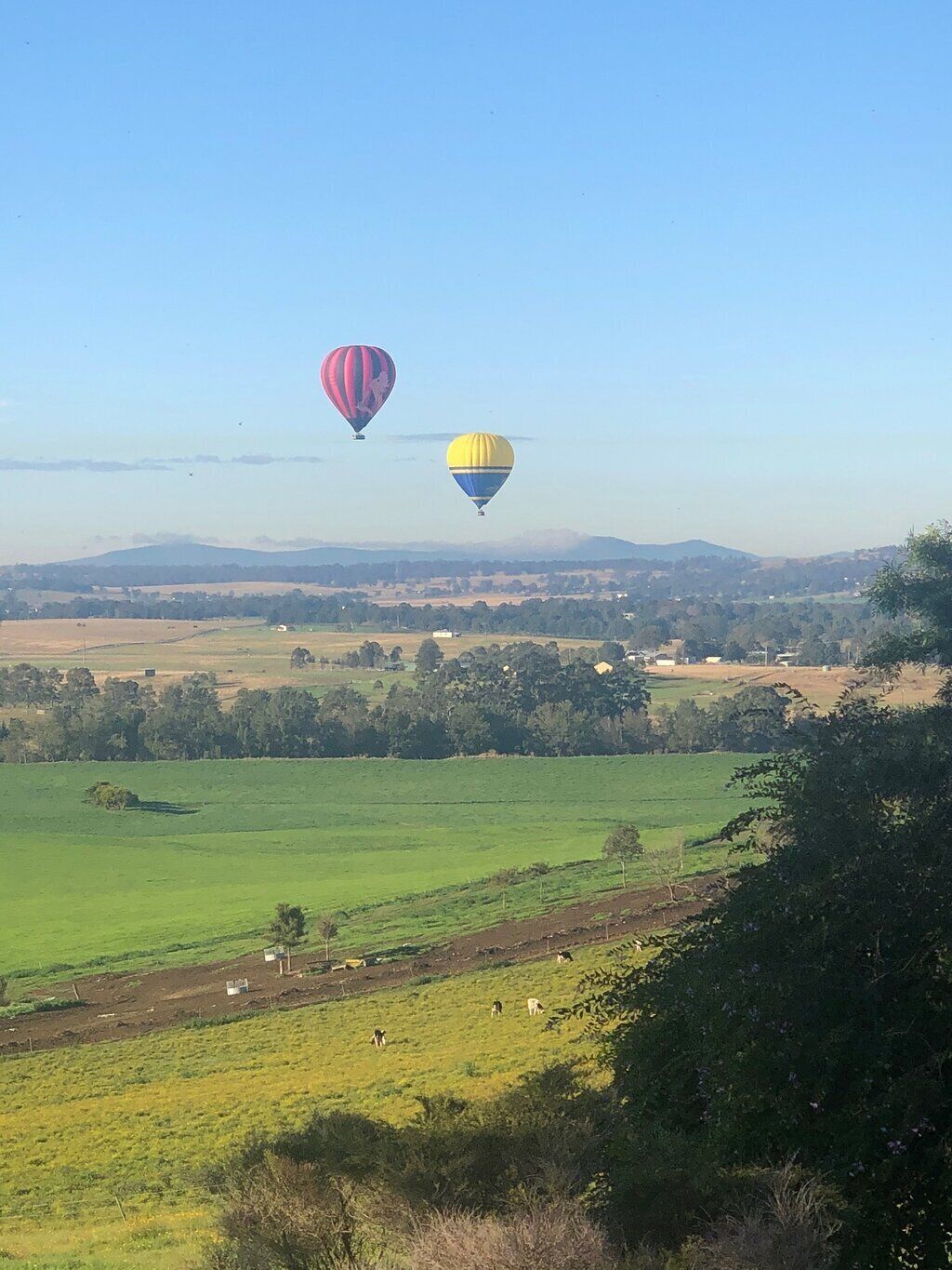 A rural landscape with two hot air balloons in the sky, fields, and distant hills.