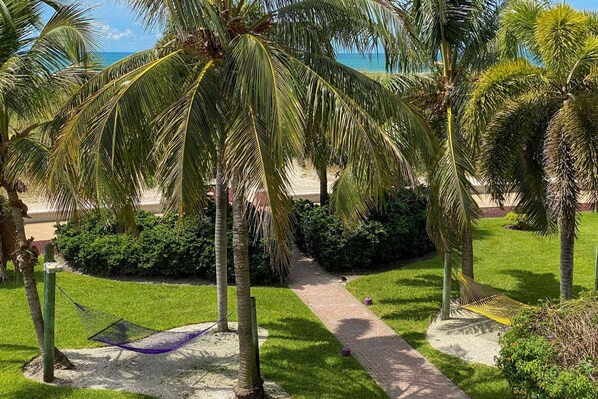 A pathway leading through a tropical garden with palm trees and a hammock.