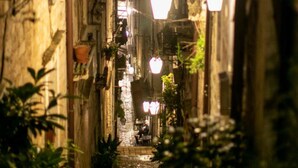 A narrow alleyway with stone steps leading to a building entrance, surrounded by greenery and illuminated by hanging lights. - Rooms Epidaurus (Dubrovnik)