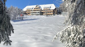 Eksteriør
