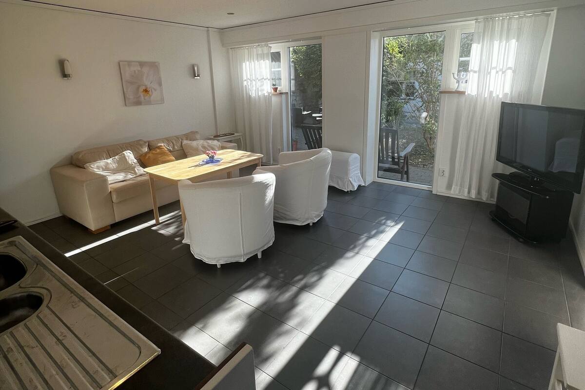 A modern living room with a sofa, chairs, a dining table, and a TV.