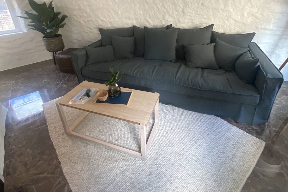 A cozy living room with a dark green sofa, a wooden coffee table, and a potted plant.