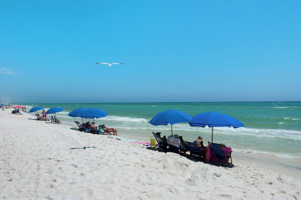 Studio (3 Bedrooms) | Interior