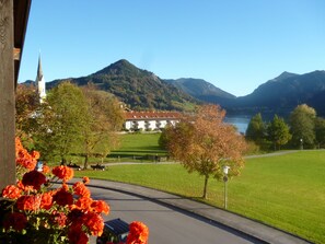 Unclassified image, 2 of 16, button