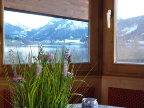 Unclassified image, 3 of 16, button