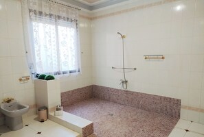 Bathtub, hair dryer, bidet, towels
