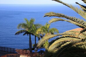 Une vue sur la côte, avec des palmiers et une mer bleue et limpide.