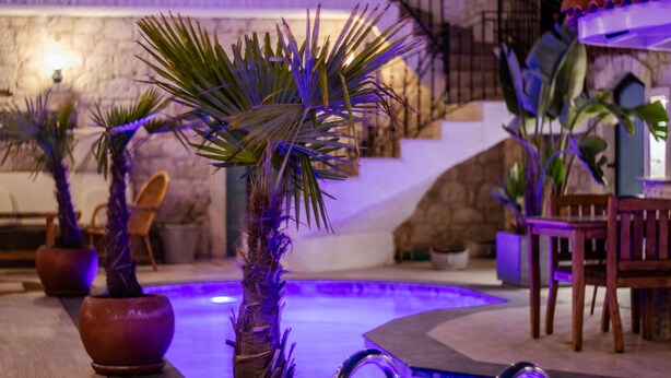 A pool area with palm plants and a wooden chair. - Avlu Alacati Butik Otel (Cesme)