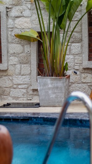 Una piscina al aire libre de temporada, sombrillas