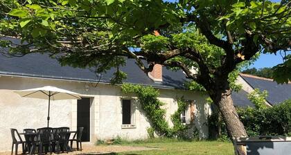 Gîte in the heart of the Loire castles: Les Tilleuls de Rochefuret