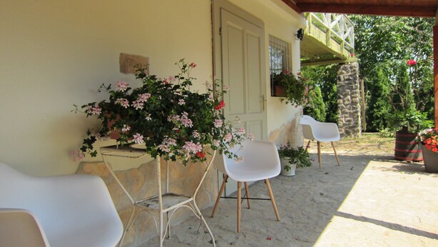 A covered outdoor seating area with white chairs and potted plants.