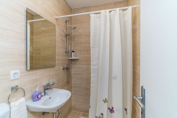 Une salle de bain avec une douche, un lavabo et un miroir.